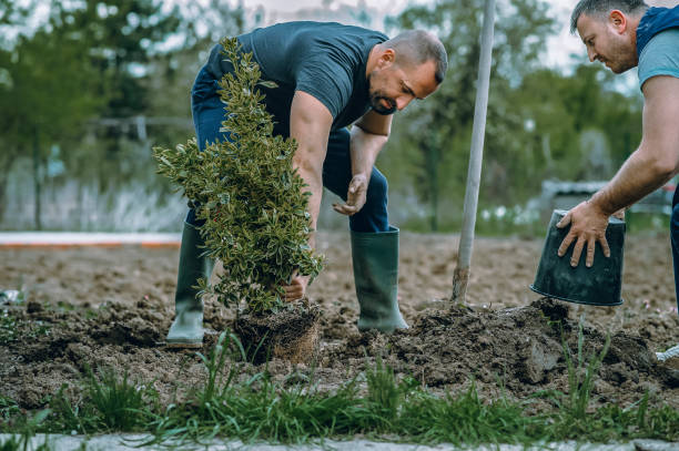 Best Artificial Turf Installation  in Fairlawn, VA