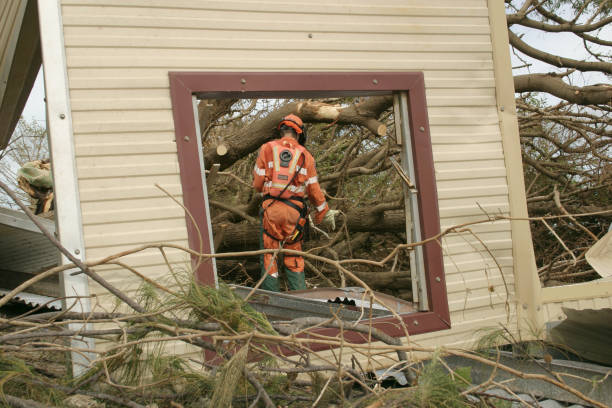 Best Tree Trimming and Pruning  in Fairlawn, VA